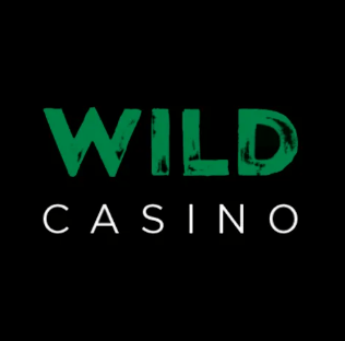 Wild casino logo in black background