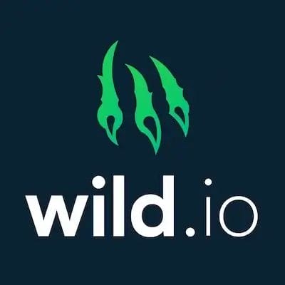 Wild.io logo in dark background