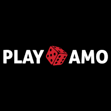 PlayAmo Casino logo in black background